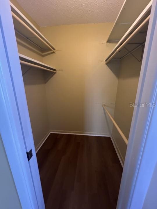 walk in closet with dark hardwood / wood-style flooring