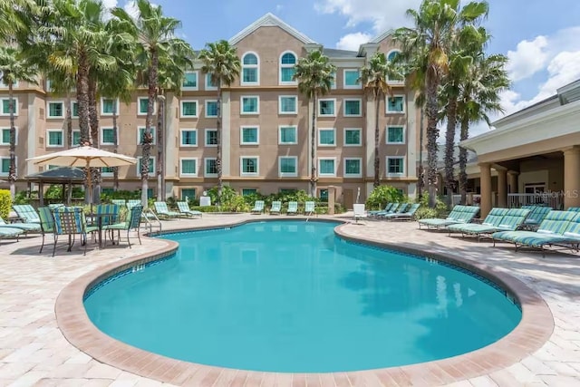 view of pool with a patio