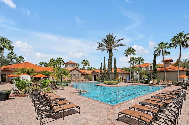 view of pool with a patio area