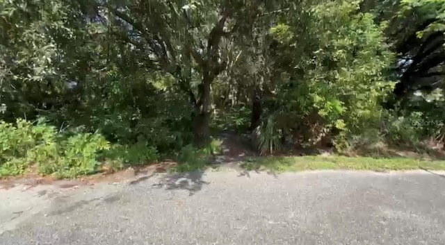 6003 Woods St, Orlando, FL 32809 - photo 1