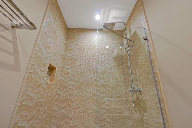 room details with tiled shower