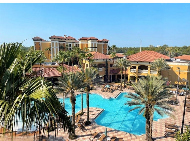 pool featuring a patio area