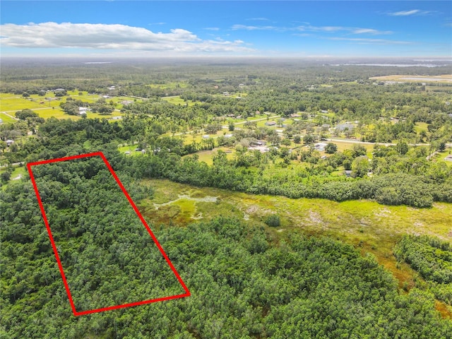 2200 Mcmichael Rd, Saint Cloud FL, 34771 land for sale