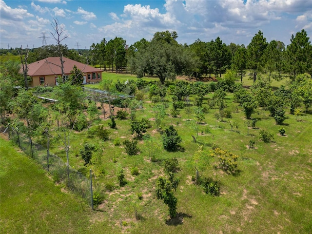 bird's eye view featuring a rural view