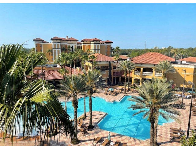 view of swimming pool with a patio area