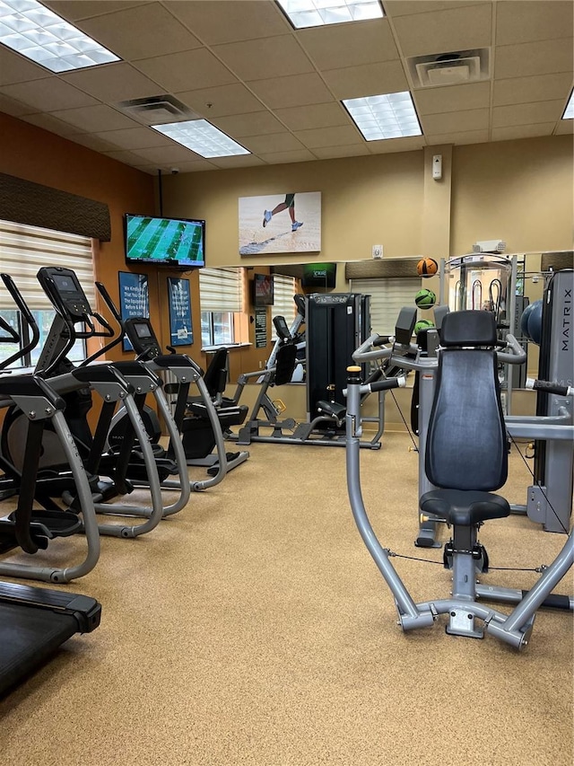 exercise room featuring a drop ceiling and carpet floors