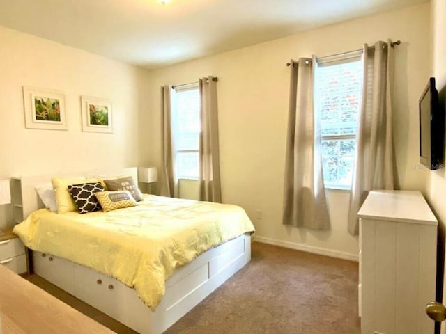 bedroom with carpet and multiple windows