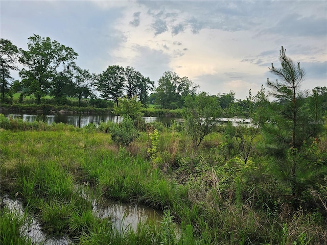 view of local wilderness featuring a water view