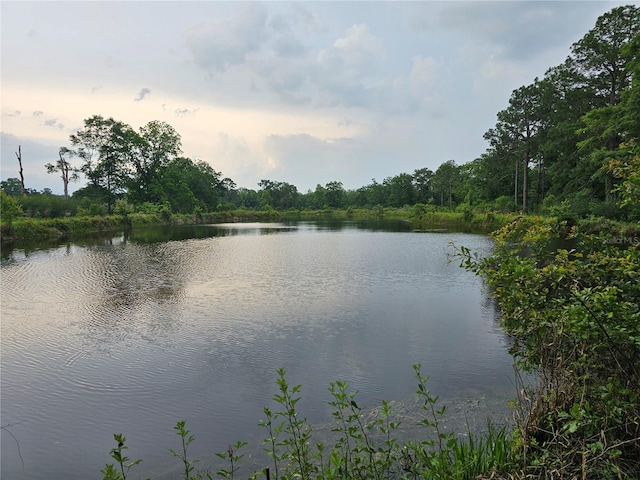 view of property view of water