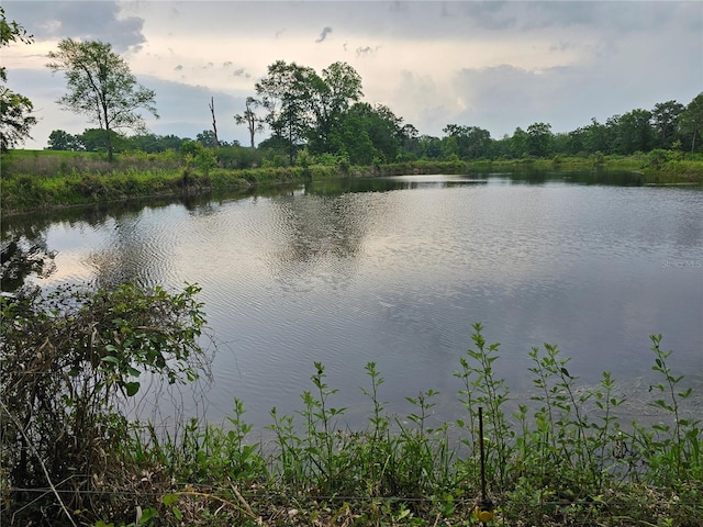 view of property view of water