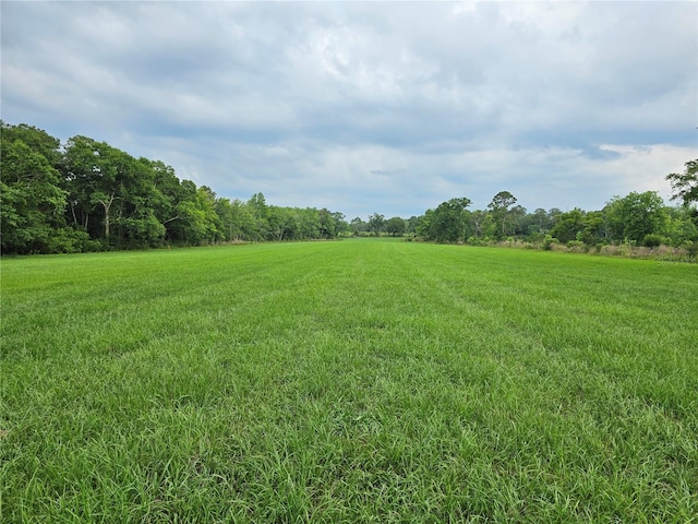 view of nature