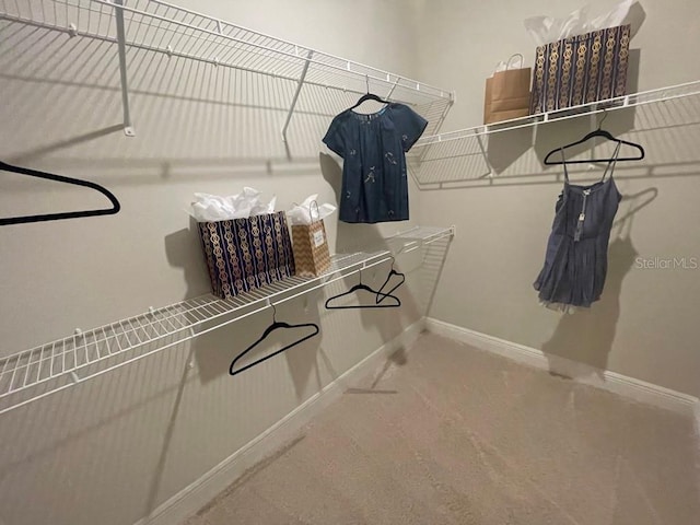 spacious closet featuring carpet floors