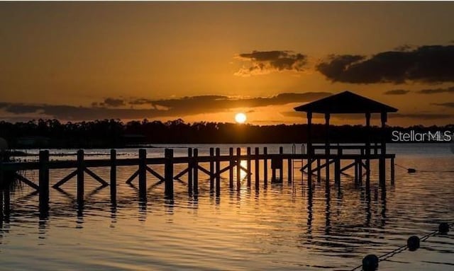 dock area with a water view