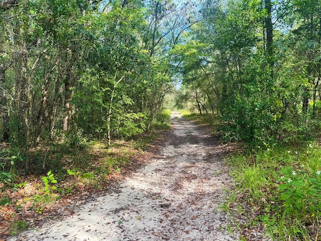 10187 N Holyoak Ter, Dunnellon FL, 34433 land for sale