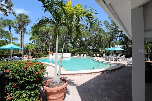 view of pool featuring a patio