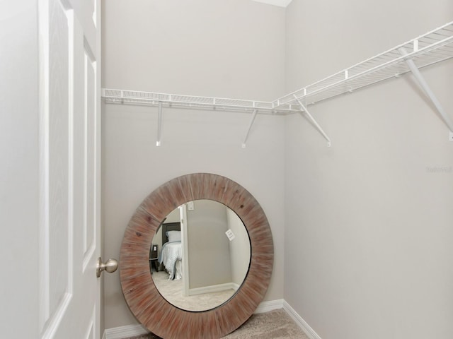 spacious closet featuring carpet