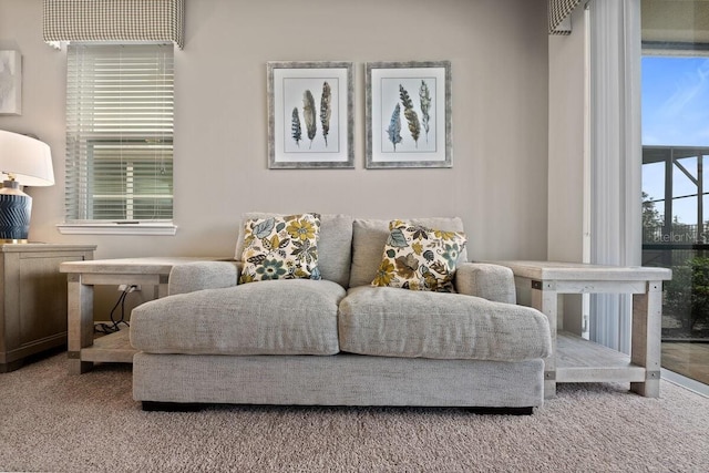 sitting room featuring carpet floors