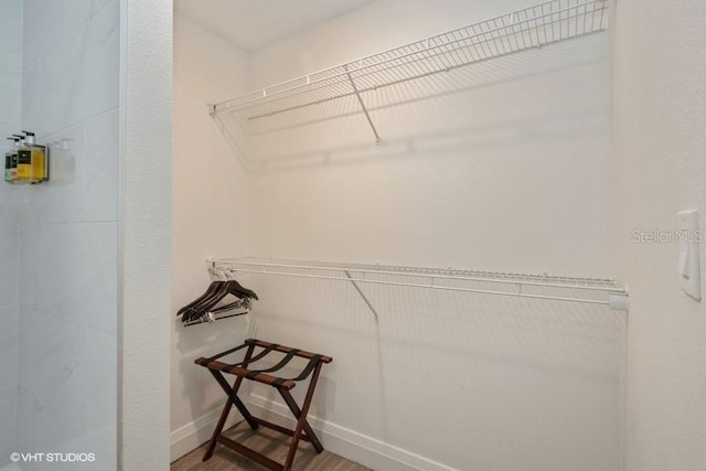 spacious closet featuring wood-type flooring