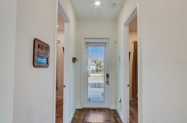 entryway featuring wood-type flooring