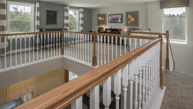 stairway with carpet flooring