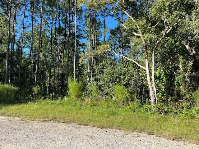 Miller Farms Ct, Sanford FL, 32771 land for sale