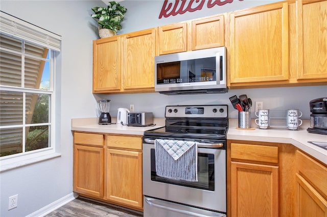 kitchen featuring light hardwood / wood-style floors and stainless steel appliances