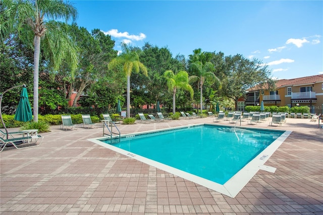 view of pool with a patio area