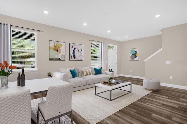 living room featuring wood-type flooring