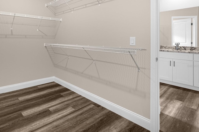 spacious closet with dark wood-type flooring and sink