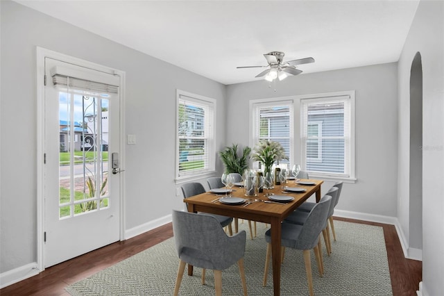 dining room featuring ceiling fan and dark wood-type flooring