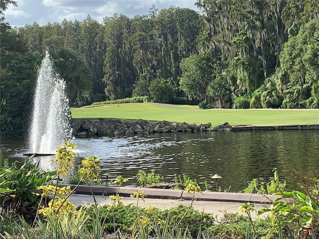 view of water feature