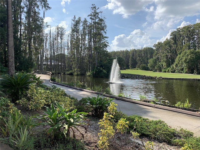 view of water feature