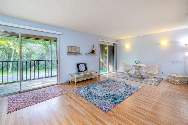 living room with light hardwood / wood-style flooring