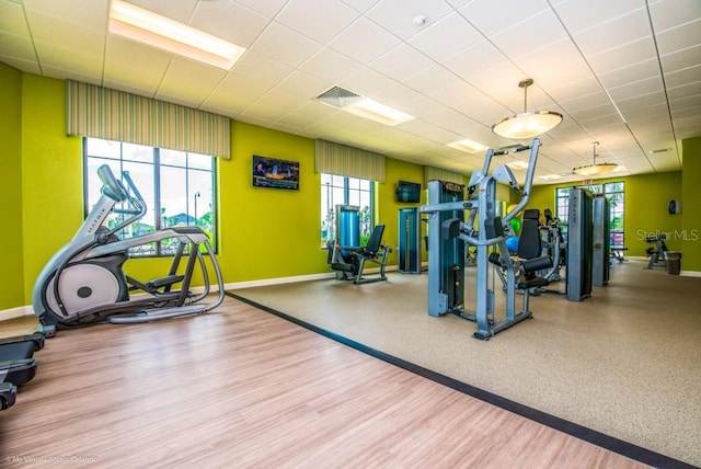 gym with a paneled ceiling, a wealth of natural light, and light wood-type flooring