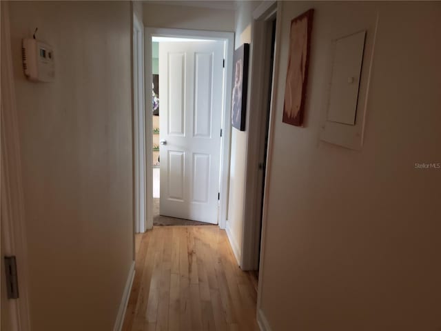 hallway featuring light hardwood / wood-style flooring