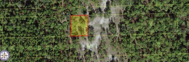 18th Ave, Saint Cloud, FL 34771 - photo 5
