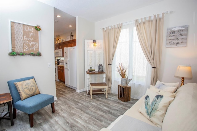 living area with wood finished floors and recessed lighting