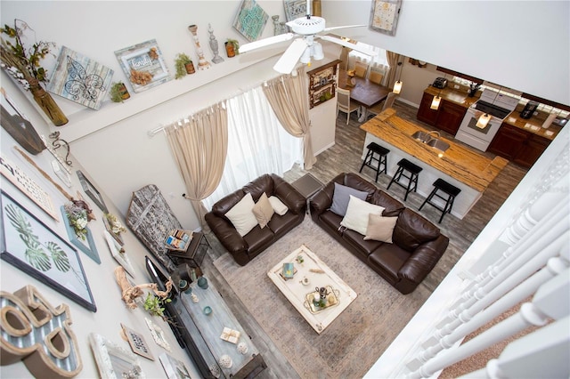 living area with a ceiling fan and wood finished floors