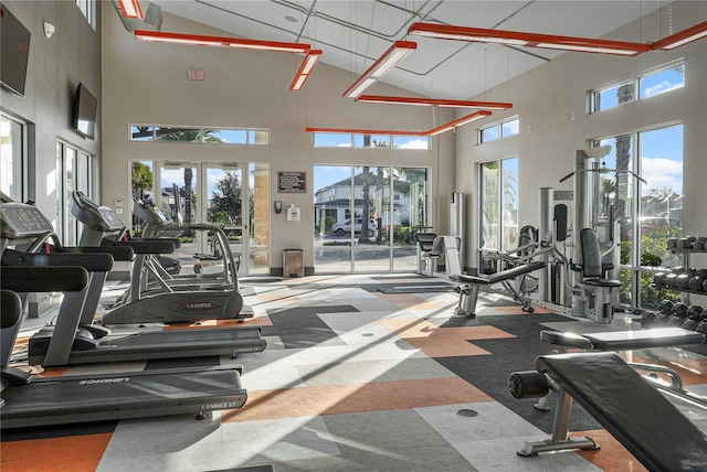 workout area featuring a high ceiling and a healthy amount of sunlight