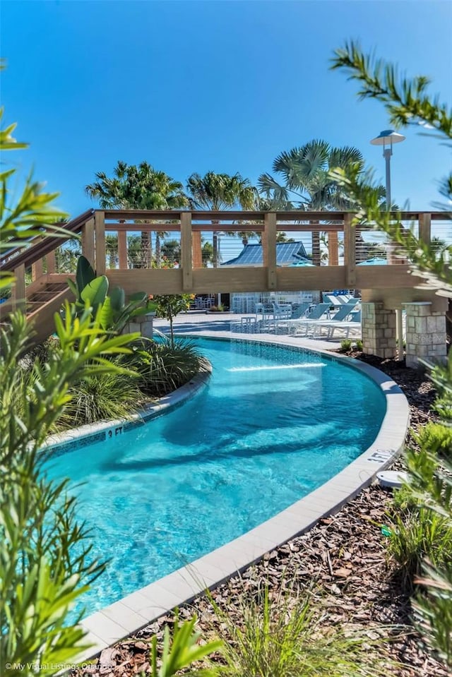 view of swimming pool