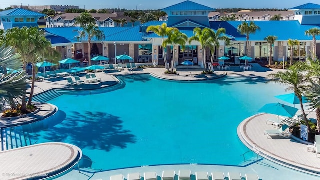 view of swimming pool featuring a patio