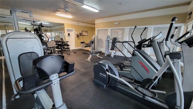 workout area with ornamental molding and ceiling fan