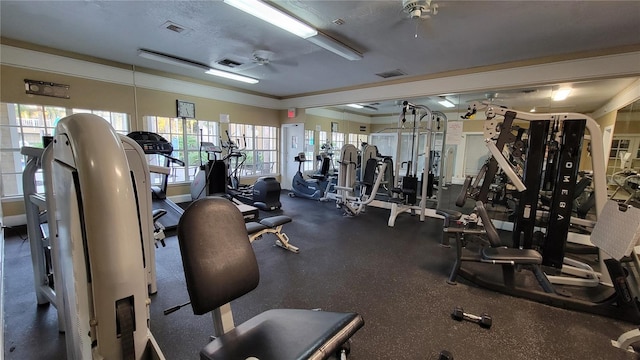 gym featuring ornamental molding and ceiling fan