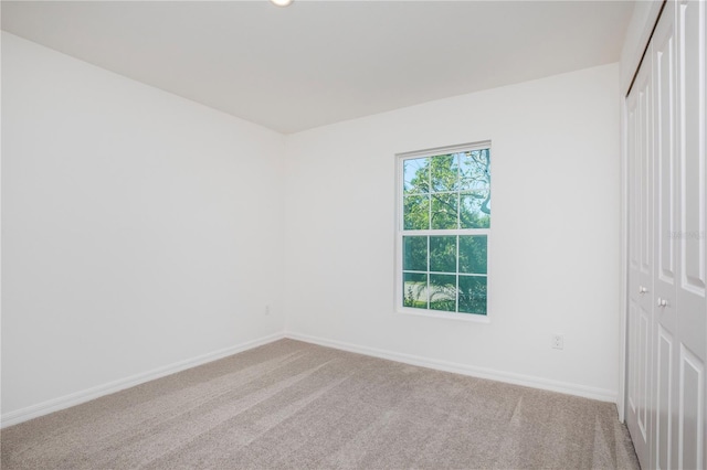 empty room featuring carpet