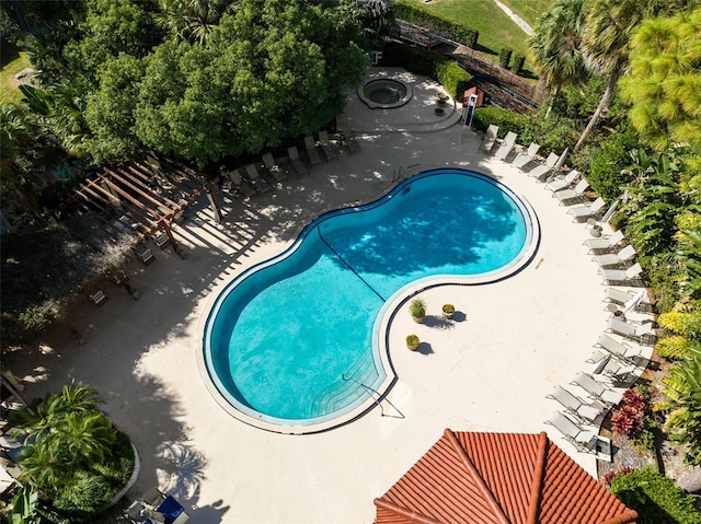 view of swimming pool with a patio area