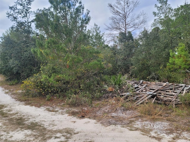 Listing photo 3 for Cooter Pond Rd, Deland FL 32720