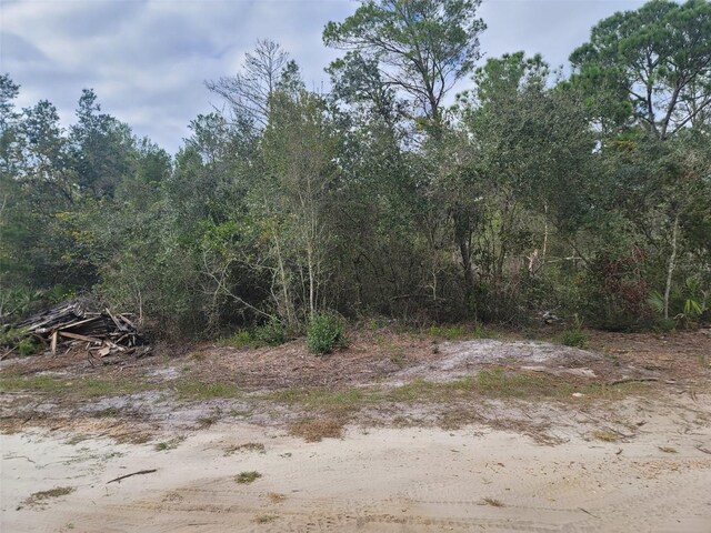 Cooter Pond Rd, Deland, FL 32720 - photo 4