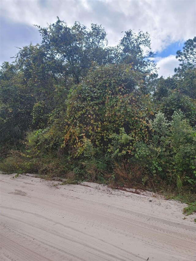 Cooter Pond Rd, Deland, FL 32720 - photo 6