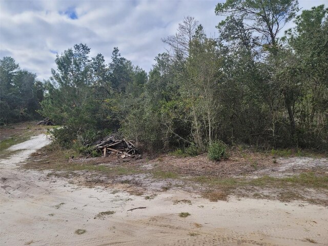 Cooter Pond Rd, Deland, FL 32720 - photo 7