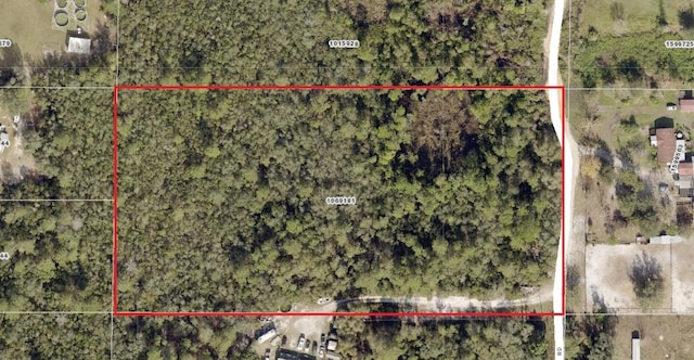 Cooter Pond Rd, Deland, FL 32720 - photo 9